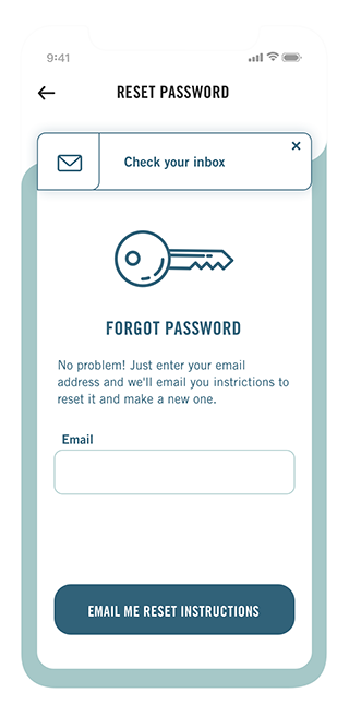 Reset password screen